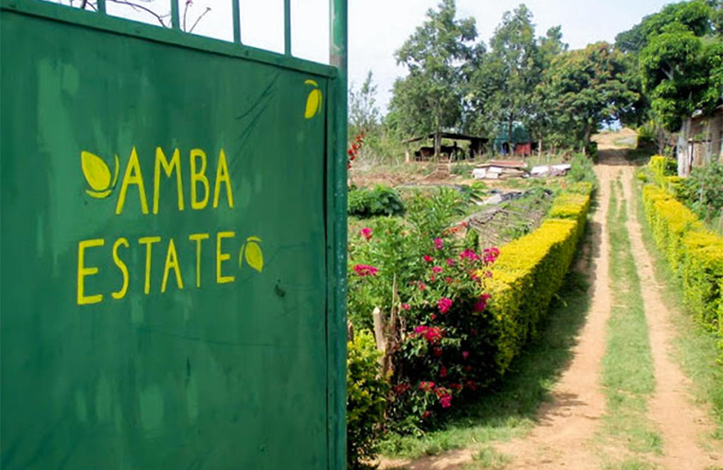 The gate of Amba Tea Estate in Sri Lanka