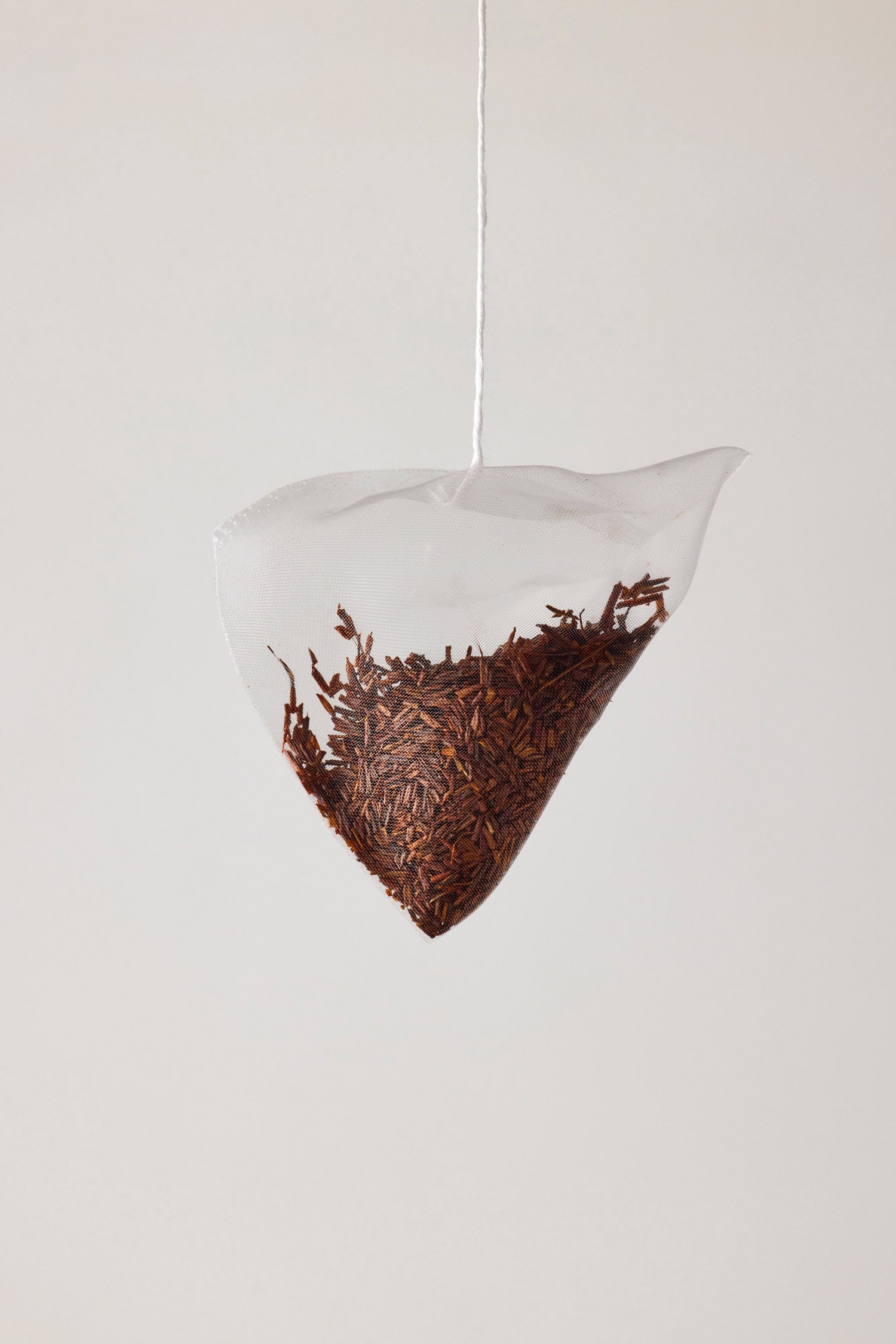 Wild Rooibos - Pyramid Tea Bags