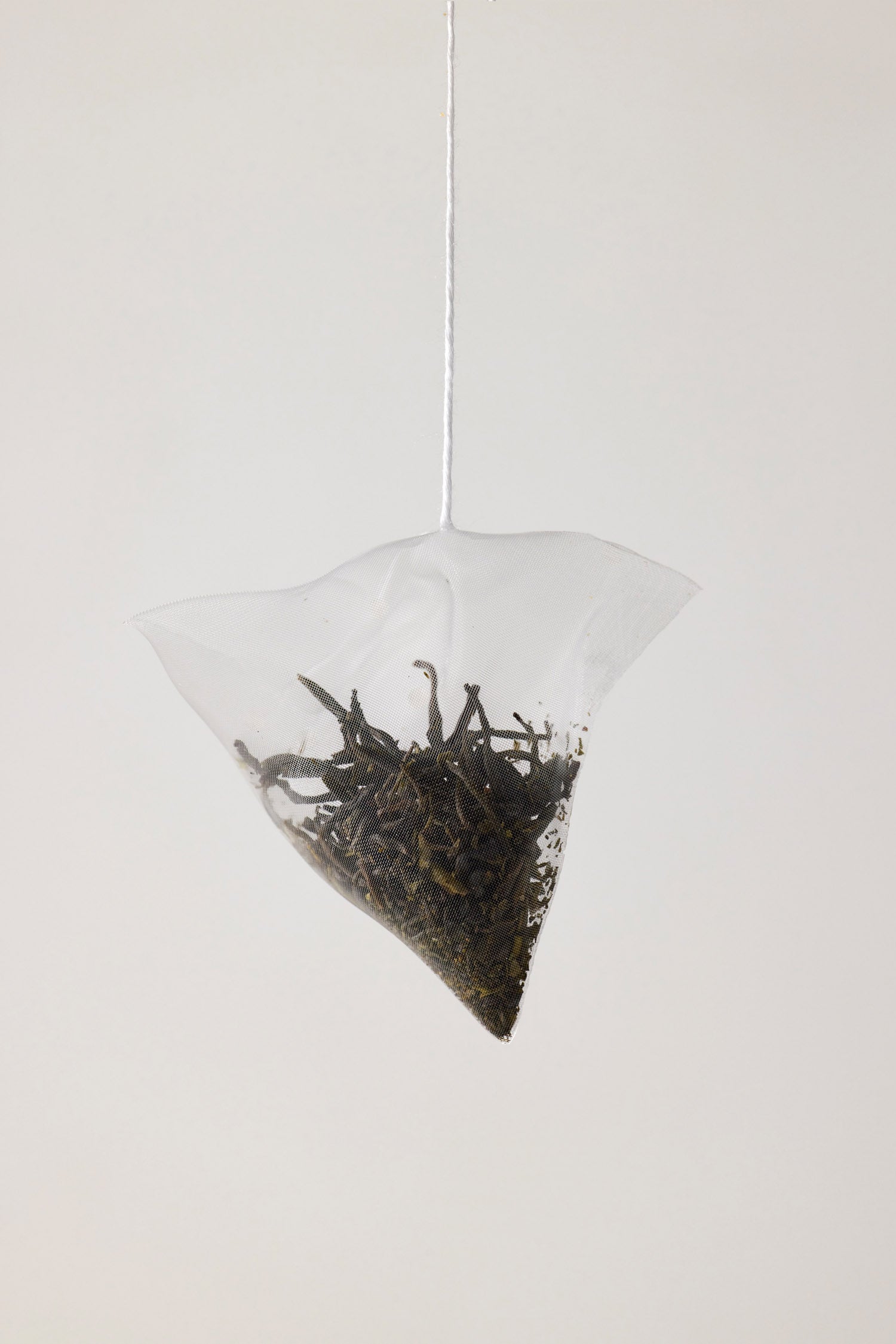 Jade Green Tips - Pyramid Tea Bags