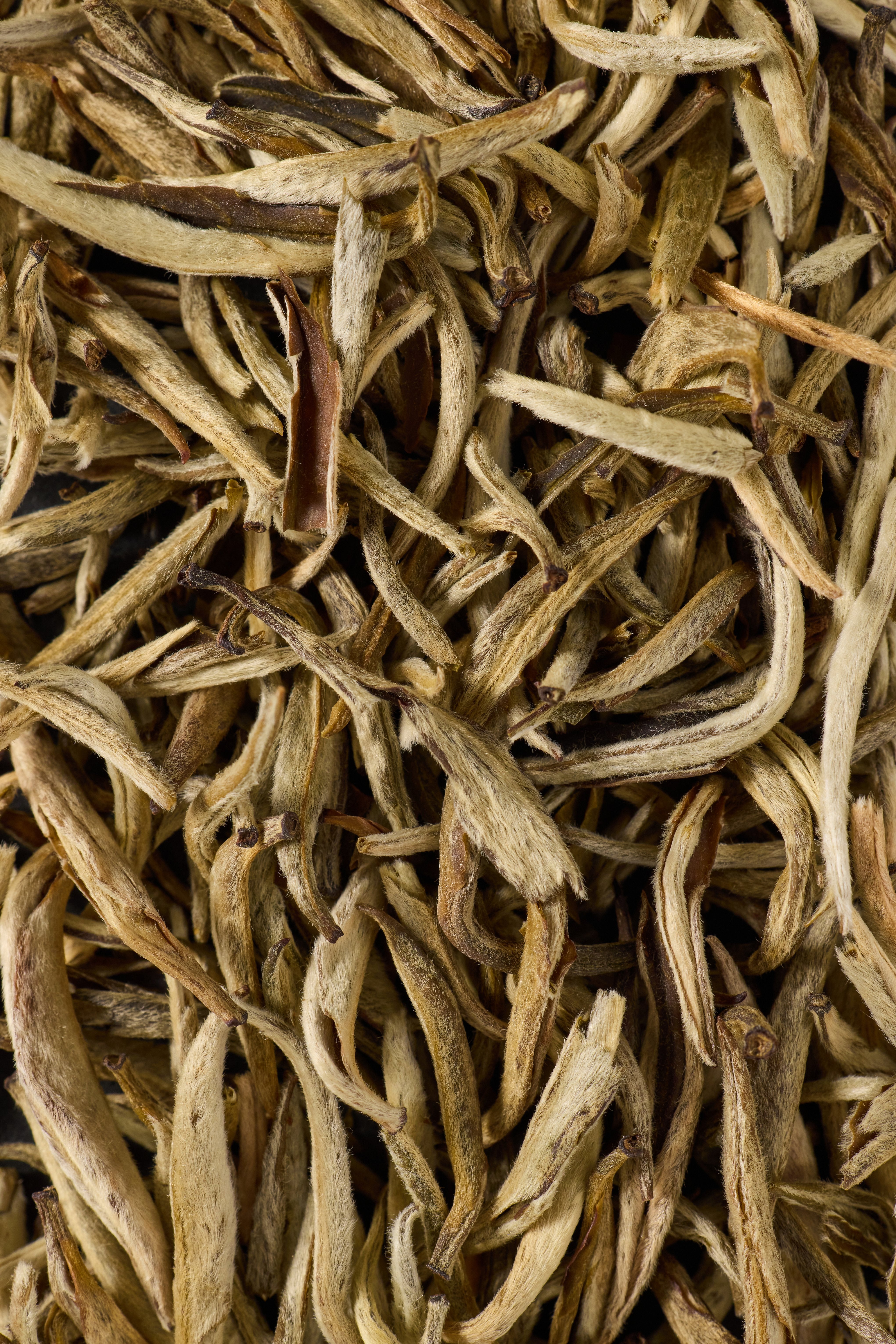 Jasmine Silver Needle