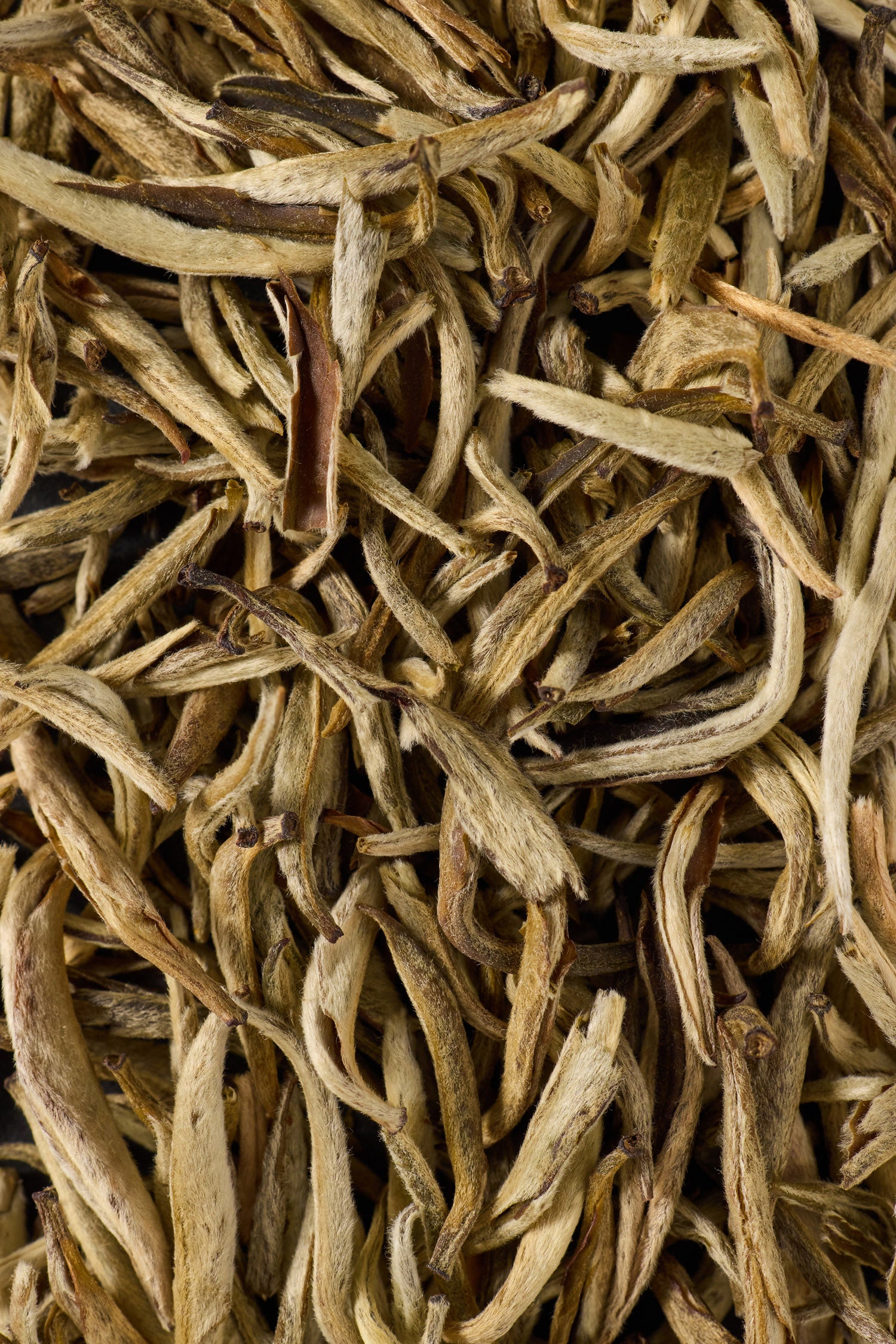 Jasmine Silver Needle