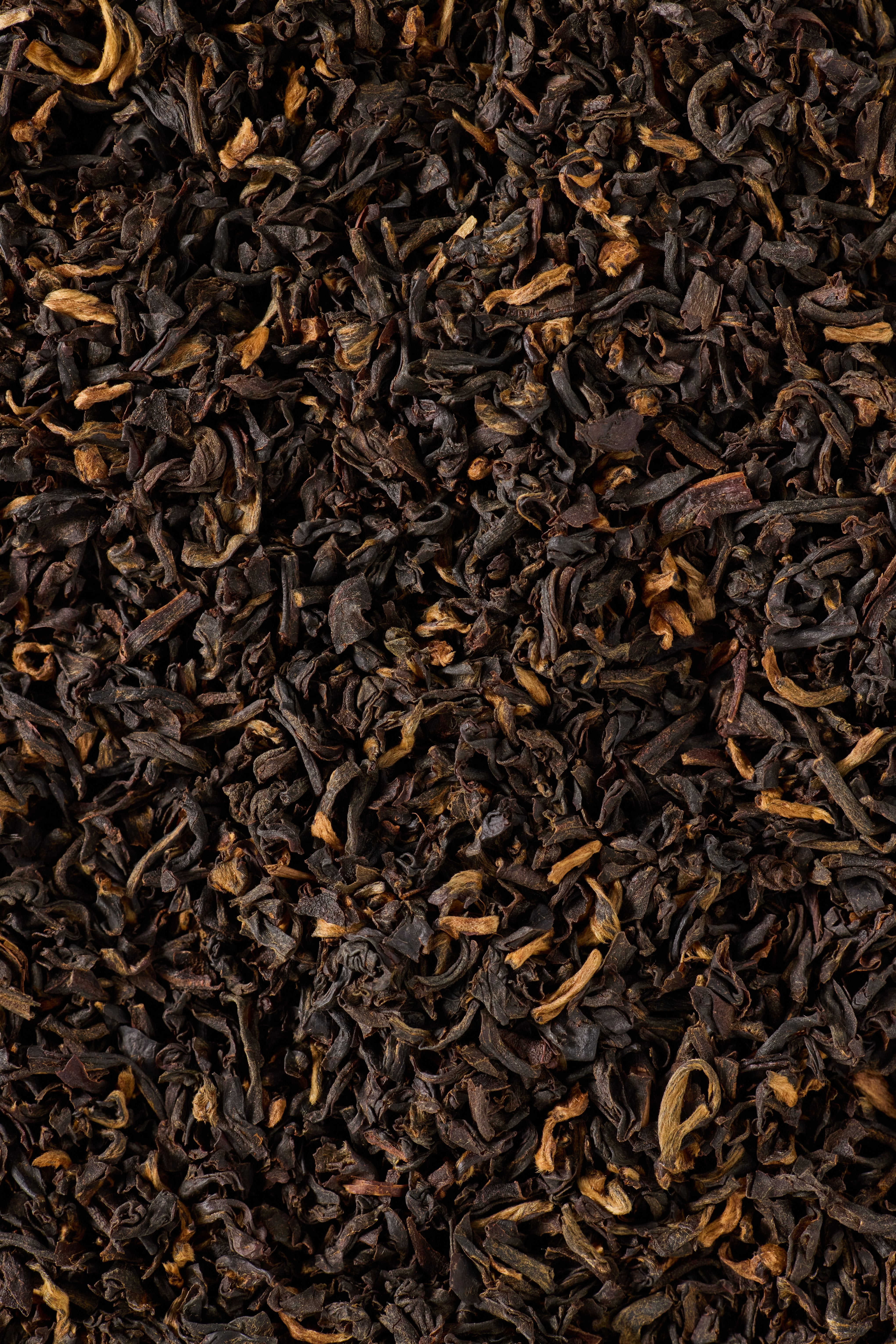 Assam