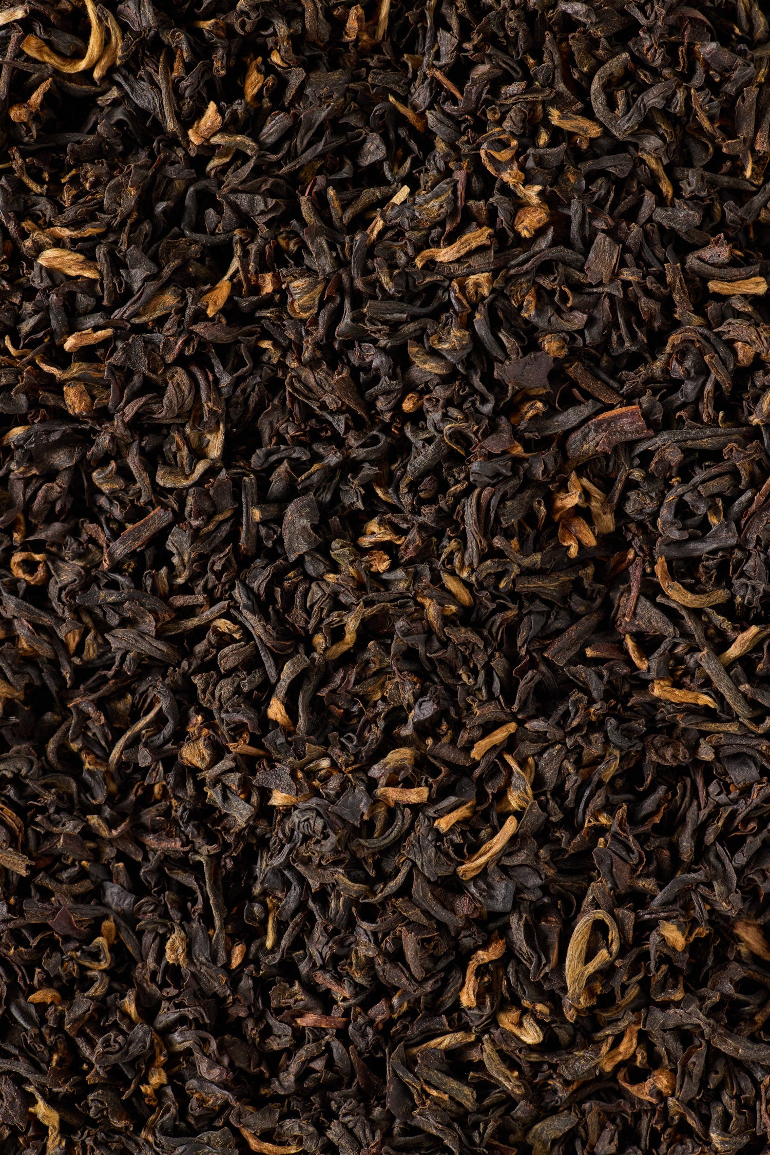 Assam
