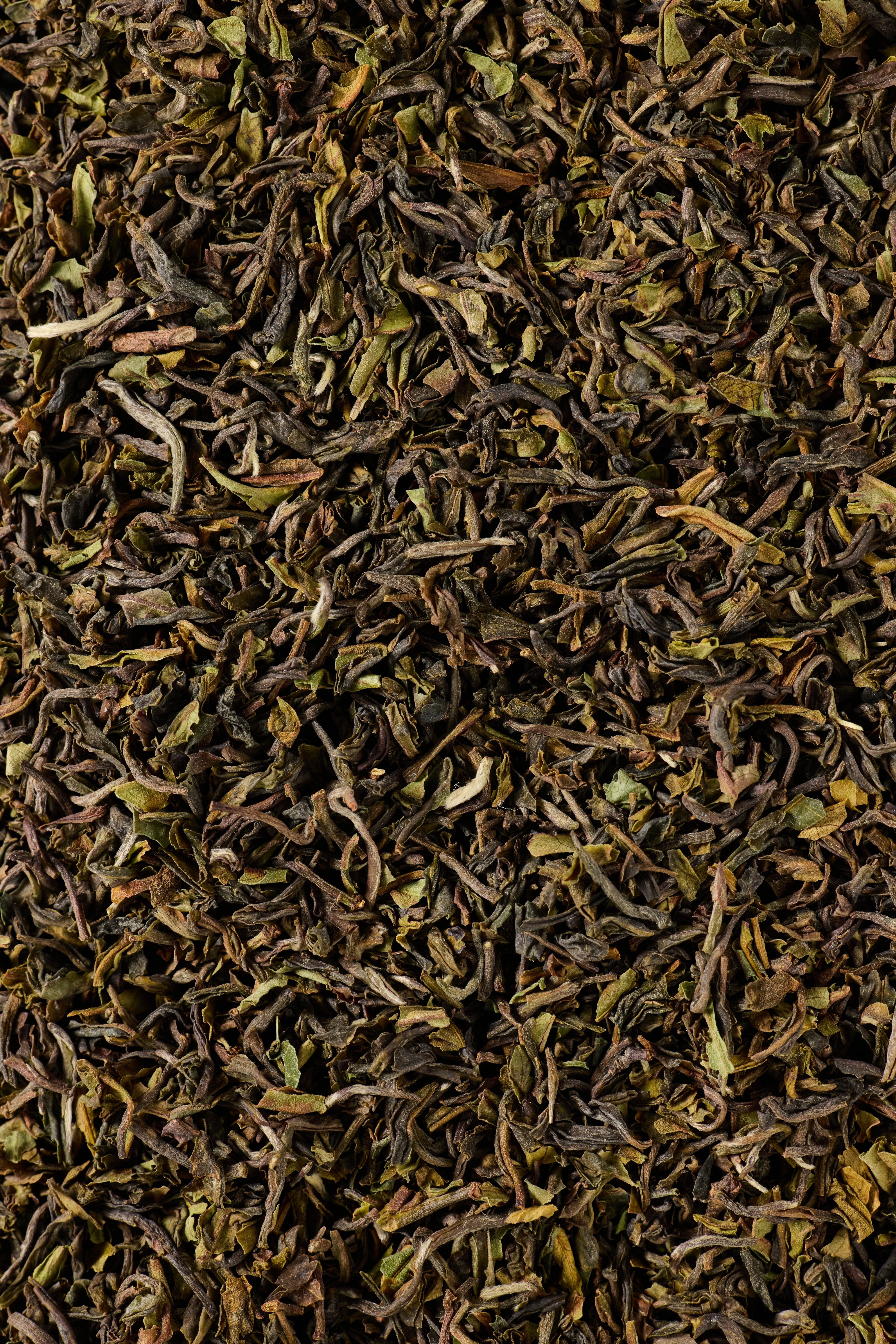 Darjeeling - Pyramid Tea Bags