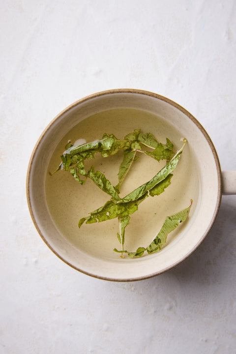 Lemon Verbena
