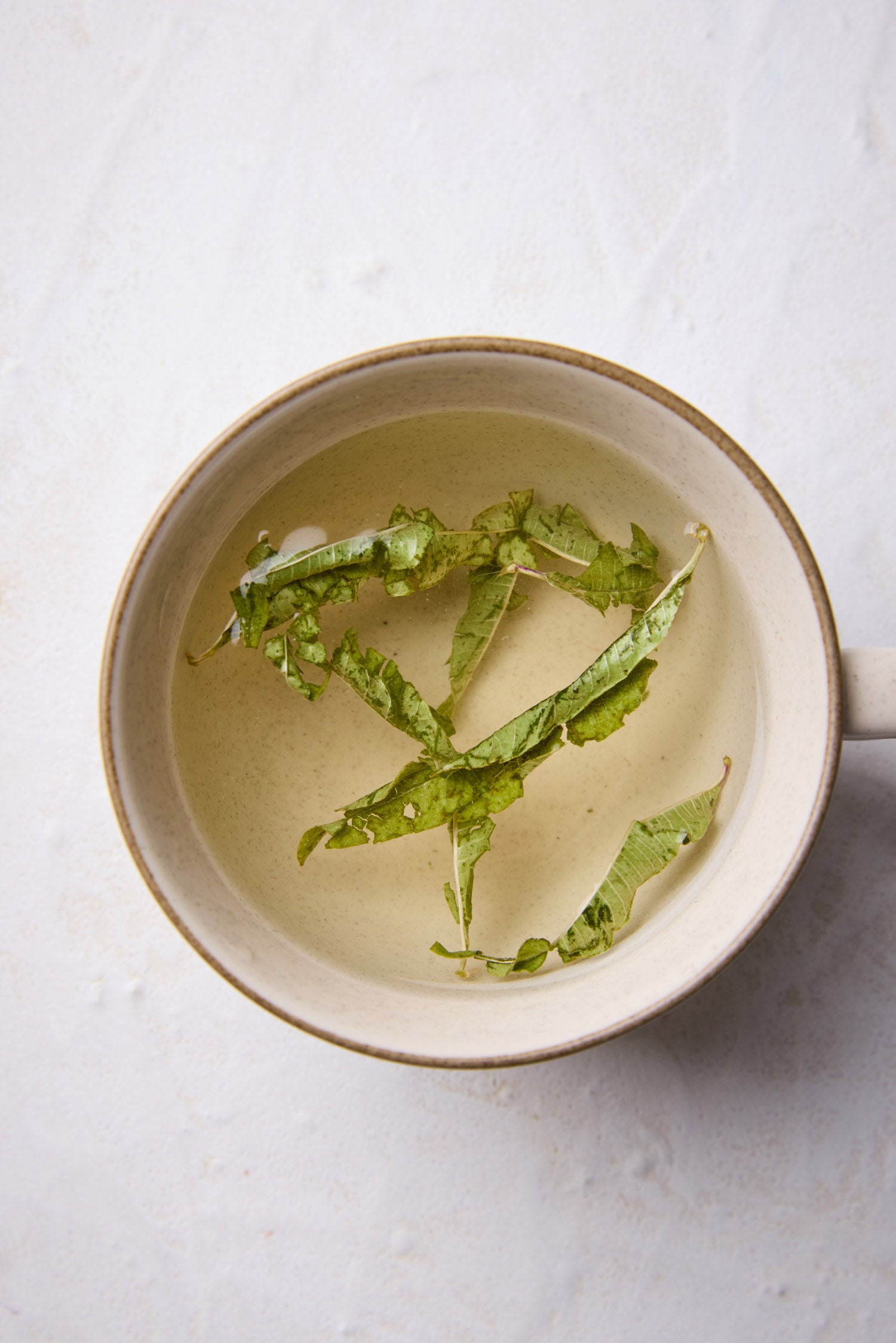 Lemon Verbena