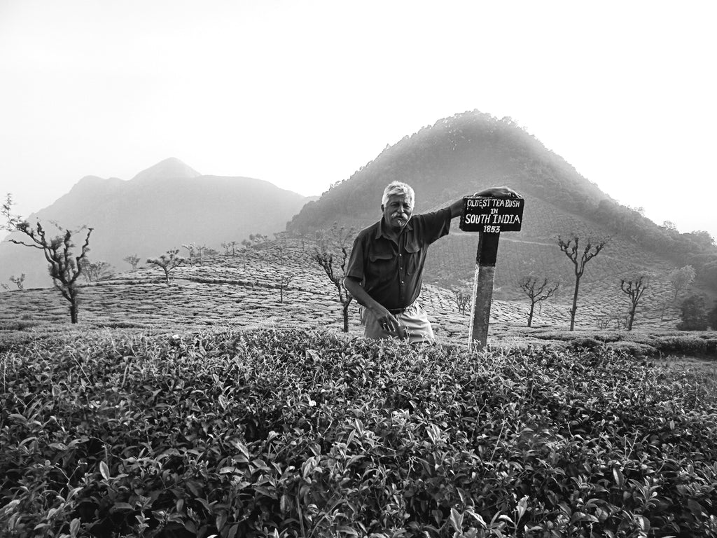 black&white #46: Indi Khanna, a life in tea