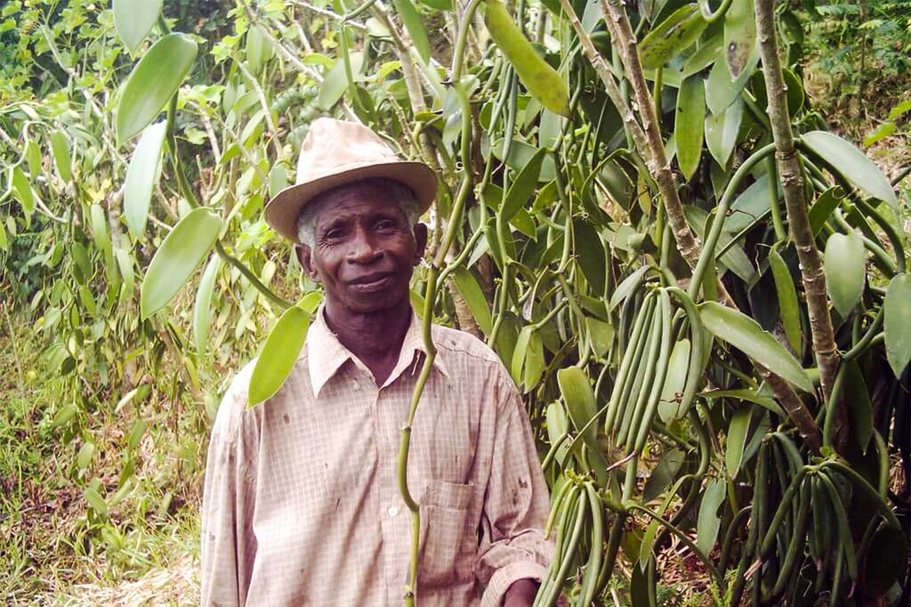 Farmer from a fair trade cooperative in the SAVA region on the eastern edge of Madagascar