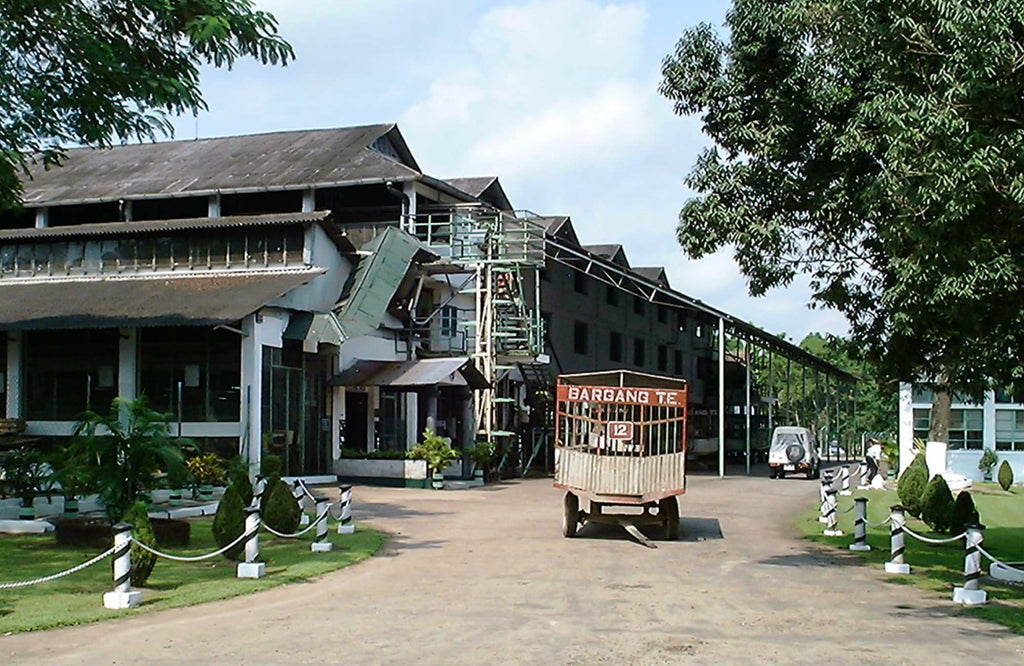 The entrance and factory of Bargang Tea Estate