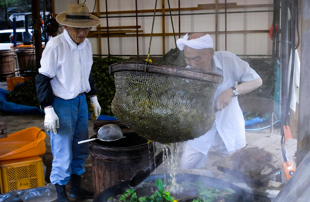 Two Japanese tea farmers boiling Awa Bancha tea leaves