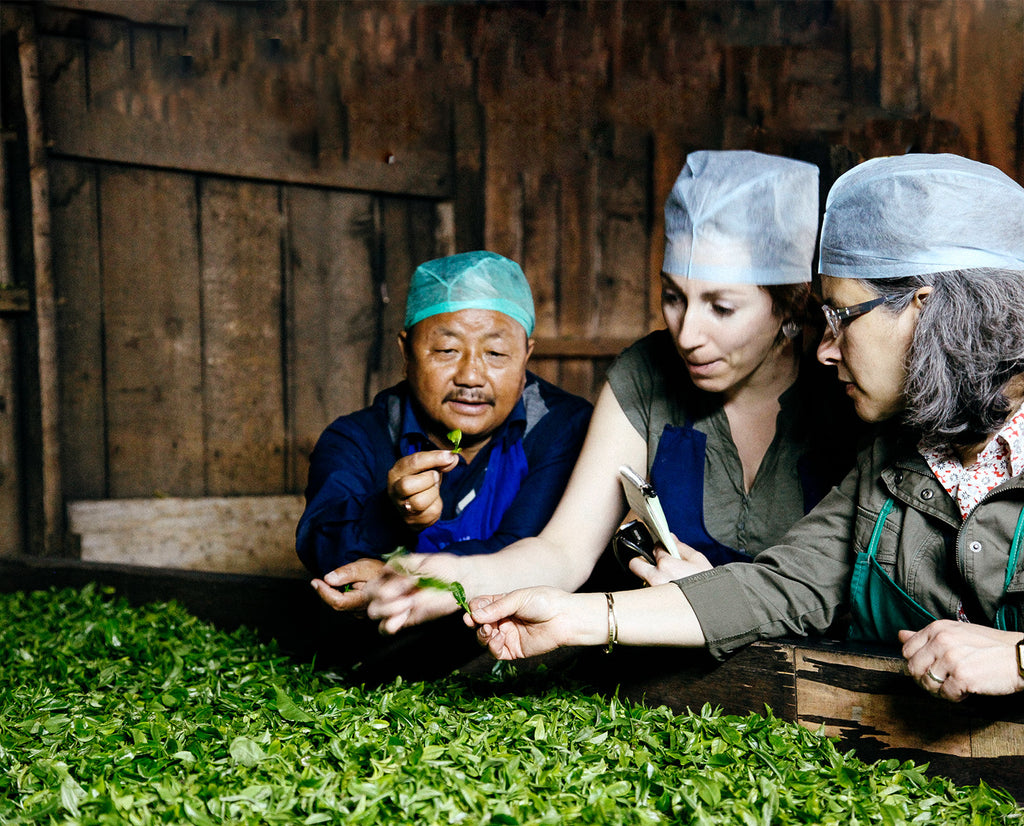 Producer spotlight #01: Potong Tea Garden
