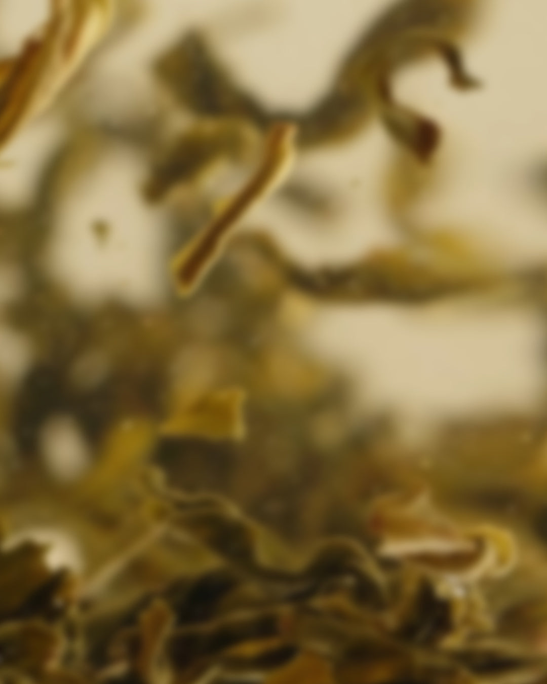 Green Tea - Pyramid Tea Bags
