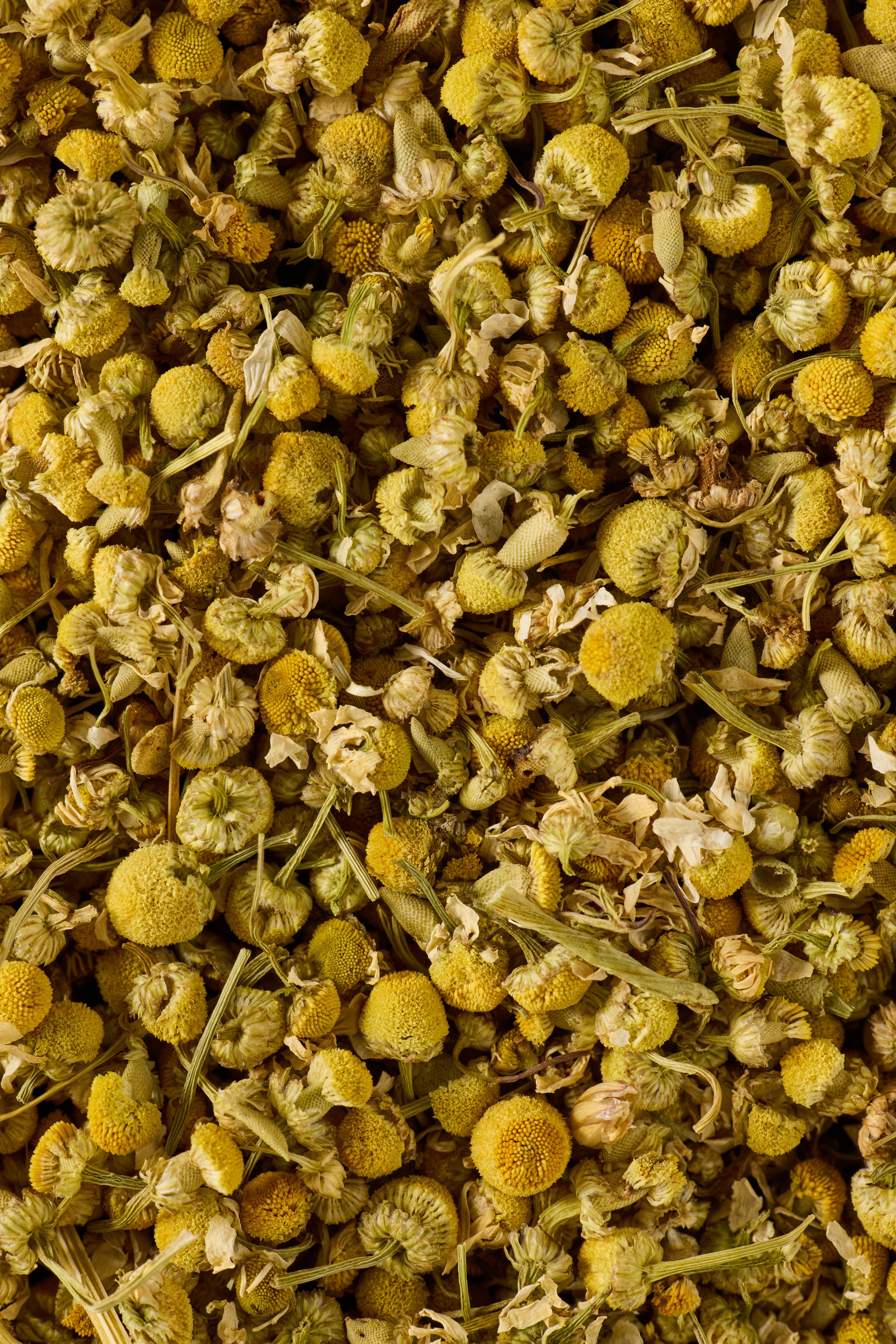 Chamomile