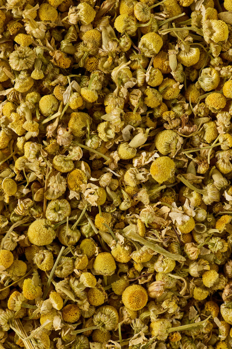 Chamomile