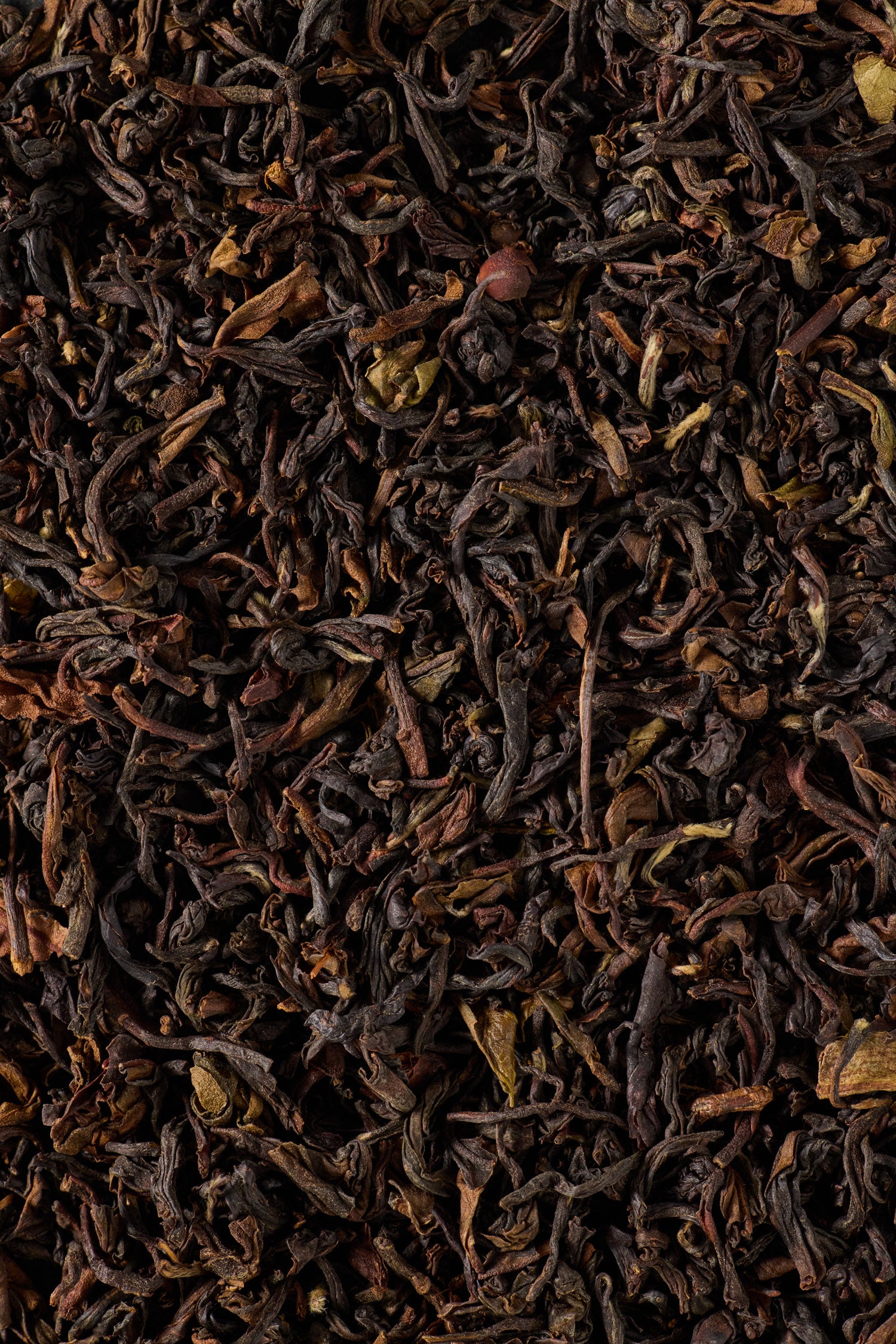 Darjeeling