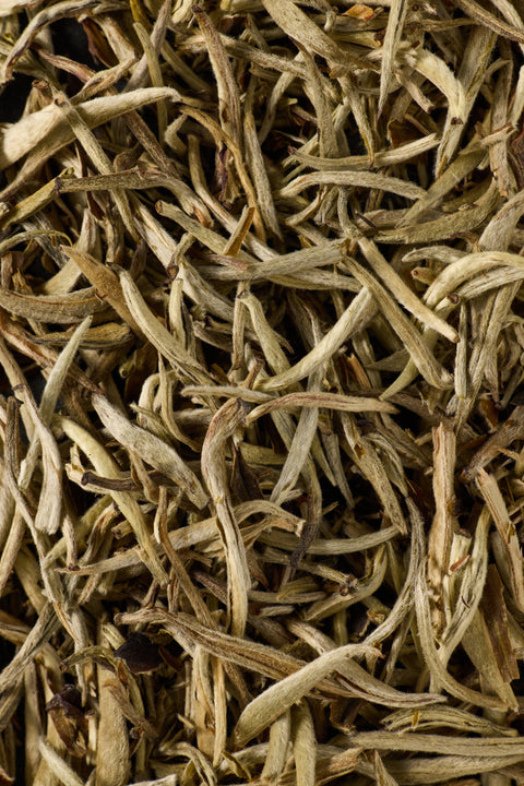 Silver Needle