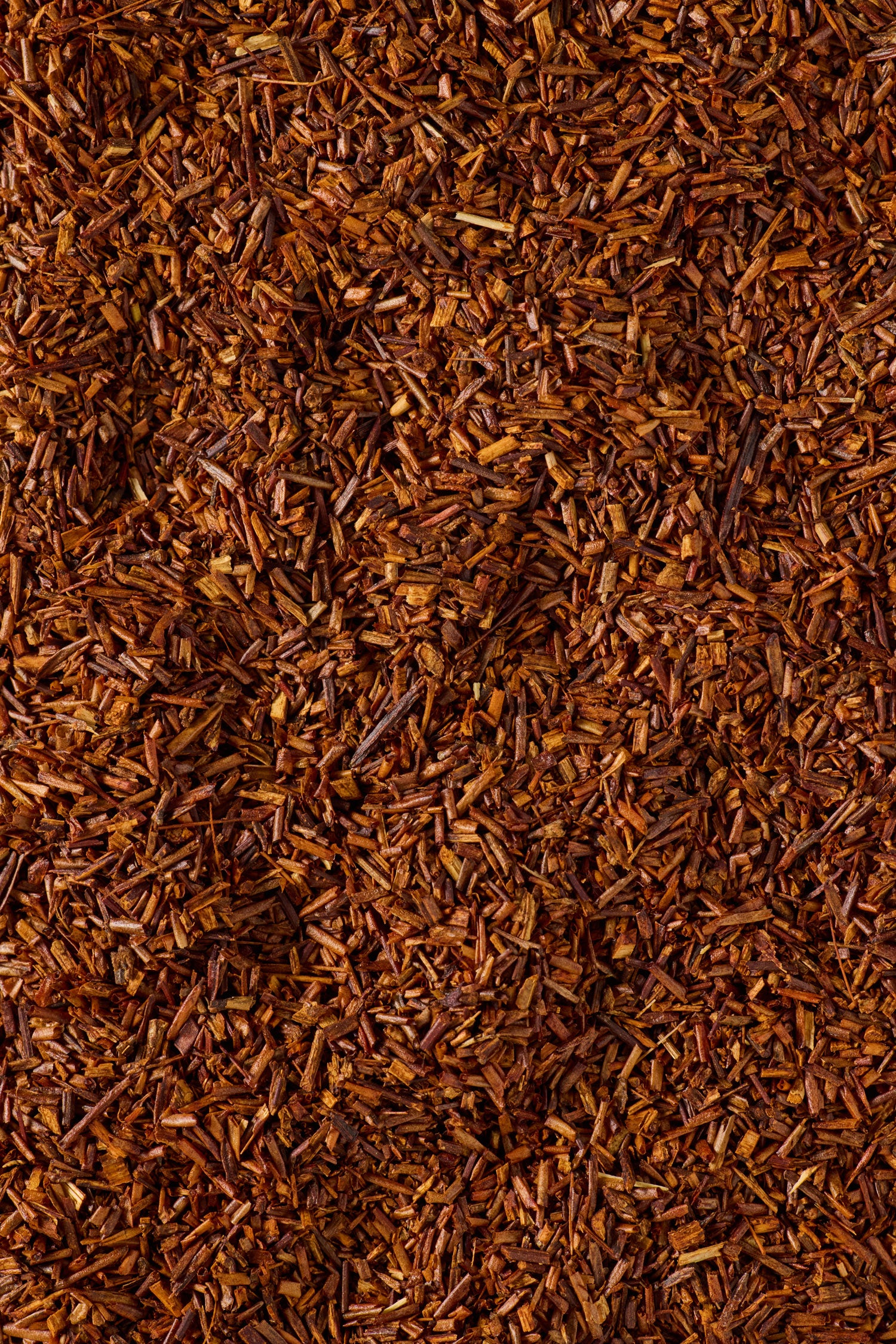 Wild Rooibos