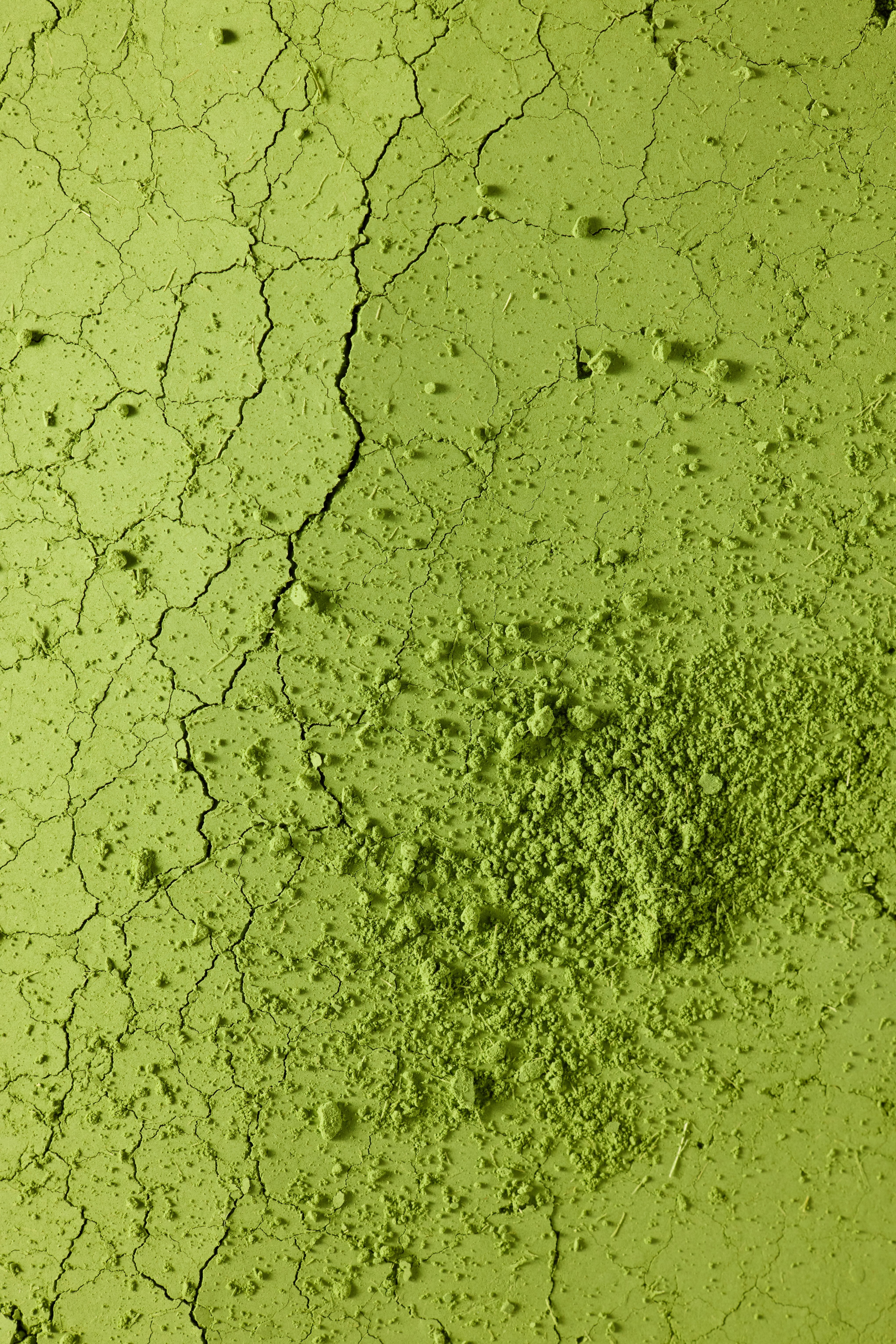 Barista Matcha