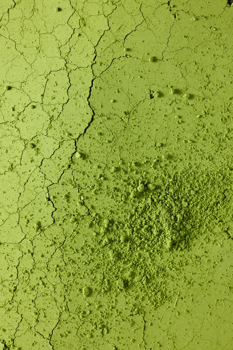 Barista Matcha