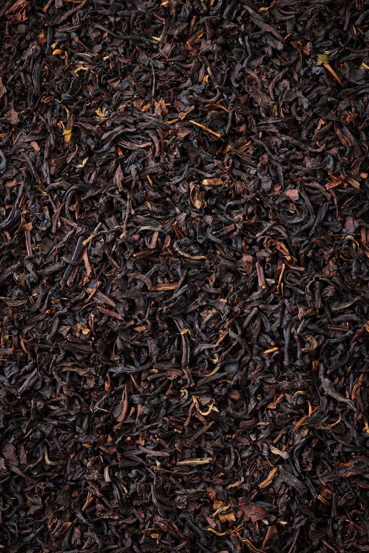 Caramel Noir