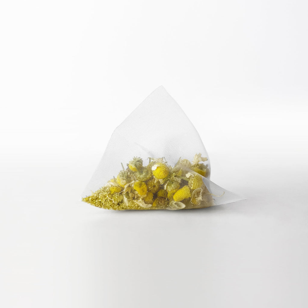 Canton Chamomile
